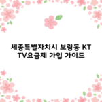 세종특별자치시 보람동 KT TV요금제 가입 가이드