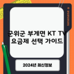 군위군 부계면 KT TV 요금제 선택 가이드