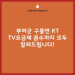 부여군 구룡면 KT TV요금제 꼼수까지 모두 알려드립니다!