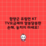 함양군 유림면 KT TV요금제의 알쏭달쏭한 손해, 놓치지 마세요!