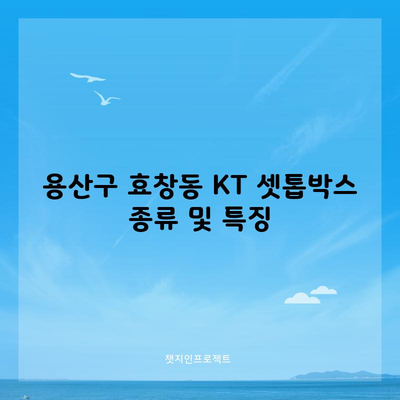 용산구 효창동 KT 셋톱박스 종류 및 특징