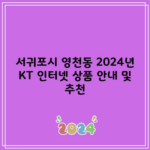 서귀포시 영천동 2024년 KT 인터넷 상품 안내 및 추천