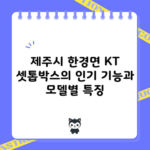 제주시 한경면 KT 셋톱박스의 인기 기능과 모델별 특징