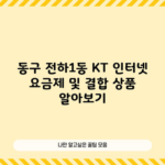 동구 전하1동 KT 인터넷 요금제 및 결합 상품 알아보기