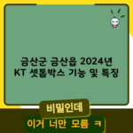 금산군 금산읍 2024년 KT 셋톱박스 기능 및 특징