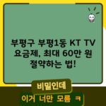 부평구 부평1동 KT TV 요금제, 최대 60만 원 절약하는 법!