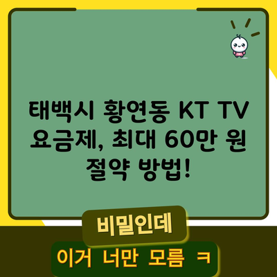 태백시 황연동 KT TV 요금제, 최대 60만 원 절약 방법!