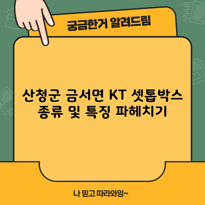 산청군 금서면 KT 셋톱박스 종류 및 특징 파헤치기