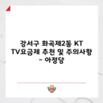 강서구 화곡제2동 KT TV요금제 추천 및 주의사항 – 아정당