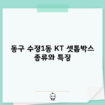 동구 수정1동 KT 셋톱박스 종류와 특징