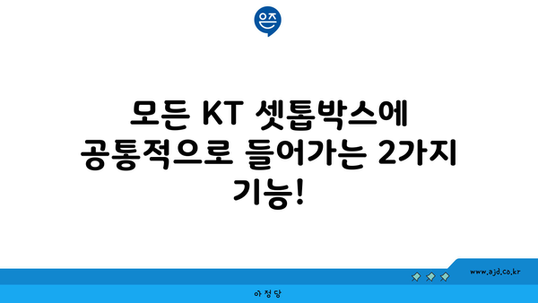 모든 KT 셋톱박스에 공통적으로 들어가는 2가지 기능!