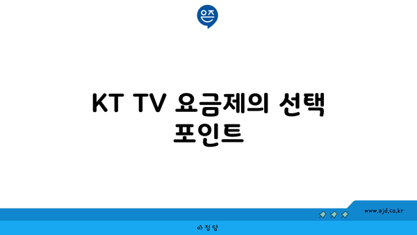 KT TV 요금제의 선택 포인트