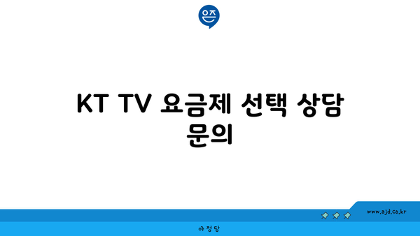 KT TV 요금제 선택 상담 문의