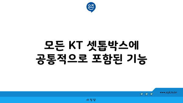 모든 KT 셋톱박스에 공통적으로 포함된 기능