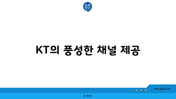 KT의 풍성한 채널 제공