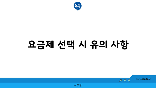 요금제 선택 시 유의 사항