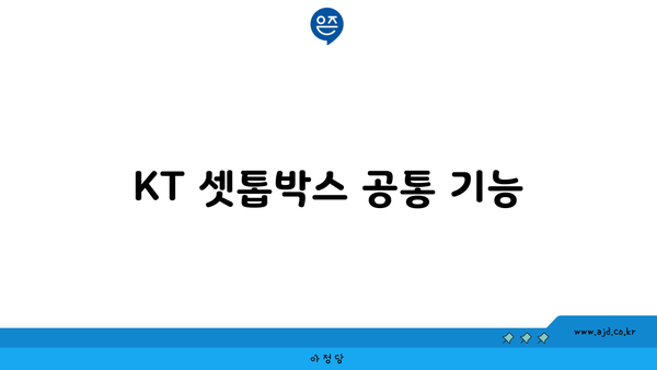 KT 셋톱박스 분석 공통 기능