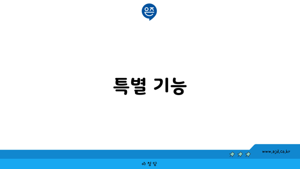 특별 기능