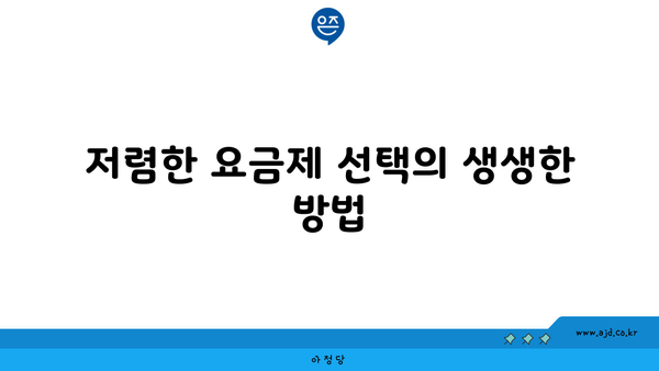 저렴한 요금제 선택의 생생한 방법