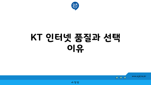 KT 인터넷 품질과 선택 이유