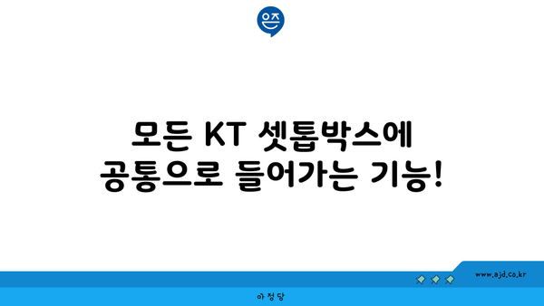 모든 KT 셋톱박스에 공통으로 들어가는 기능!