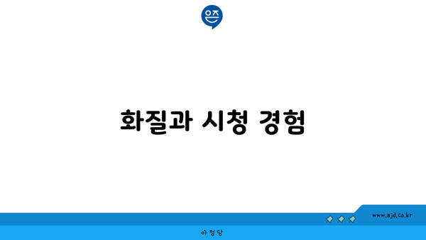 화질과 시청 경험