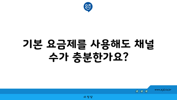 기본 요금제를 사용해도 채널 수가 충분한가요?