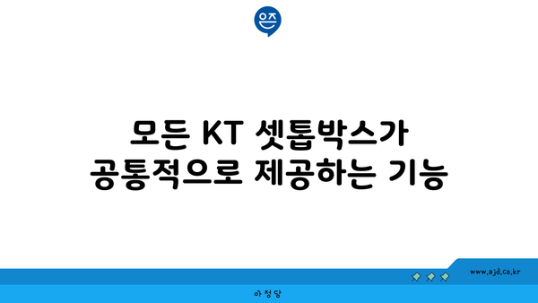 모든 KT 셋톱박스가 공통적으로 제공하는 기능