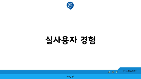 실사용자 경험