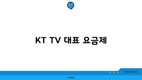 KT TV 대표 요금제