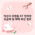 익산시 모현동 KT 인터넷 요금제 및 혜택 최신 정보