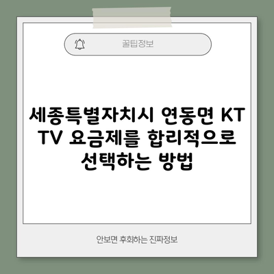 세종특별자치시 연동면 KT TV 요금제를 합리적으로 선택하는 방법