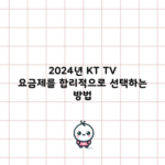 2024년 KT TV 요금제를 합리적으로 선택하는 방법