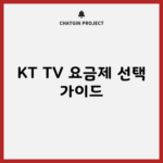 KT TV 요금제 선택 가이드