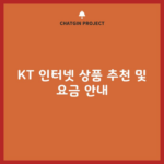 KT 인터넷 상품 추천 및 요금 안내