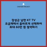 KT TV 요금제에서 올바르게 선택하여 최대 60만 원 절약하기