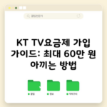 KT TV 요금제, 최대 60만 원 아끼는 방법? 아무도 알려주지 않습니다.