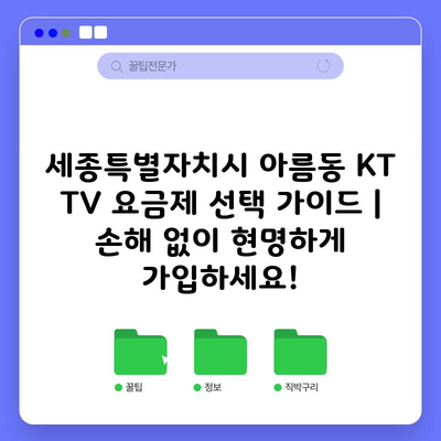 세종특별자치시 아름동 KT TV 요금제 선택 가이드 | 손해 없이 현명하게 가입하세요!