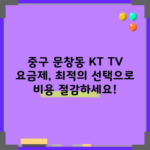 중구 문창동 KT TV 요금제, 최적의 선택으로 비용 절감하세요!