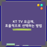 KT TV 요금제, 효율적으로 선택하는 방법