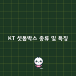 KT 셋톱박스 종류 및 특징