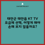 태안군 태안읍 KT TV 요금제 선택, 어떻게 해야 손해 보지 않을까요?