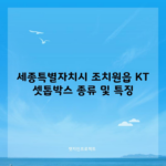 세종특별자치시 조치원읍 KT 셋톱박스 종류 및 특징