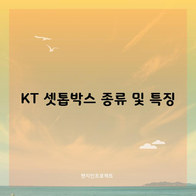 KT 셋톱박스 종류 및 특징