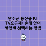 완주군 용진읍 KT TV요금제: 손해 없이 알맞게 선택하는 방법