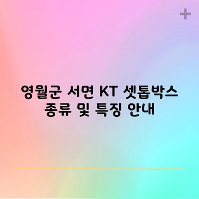 영월군 서면 KT 셋톱박스 종류 및 특징 안내