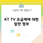 KT TV 요금제에 대한 알찬 정보