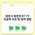 KT TV 요금제 추천 및 절약 방법 혼자만 알고 가세요.