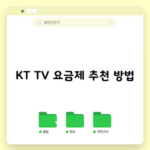 KT TV 요금제 추천 방법