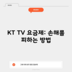 KT TV 요금제: 손해를 피하는 방법